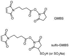 Figure imgf000107_0002