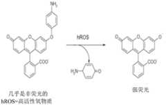 Figure BDA0003741366600000161