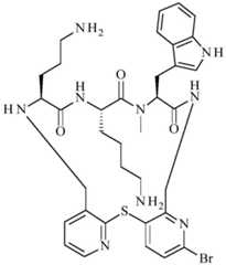 Figure BDA0001640213710005301