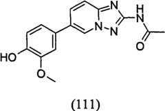 Figure GPA00001035513101113