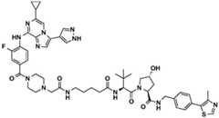 Figure BDA0002964098100001351