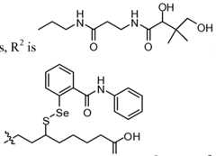 Figure imgf000023_0001