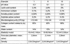 Figure imgf000007_0001