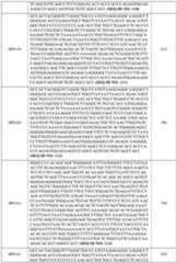 Figure imgf000080_0001