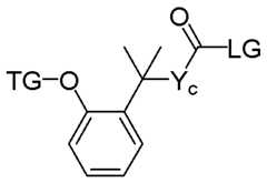 Figure imgf000181_0002
