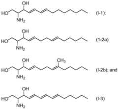 Figure imgf000028_0001