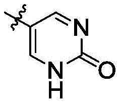 Figure BDA0002935257550000091