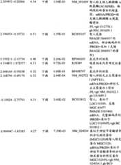 Figure BPA00001280678300931