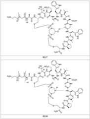 Figure imgf000166_0001
