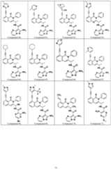 Figure imgf000076_0001