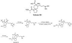 Figure imgf000175_0001