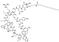 Figure imgf000180_0001