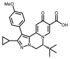 Figure 2022507724000538