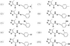 Figure BDA0000022859190000053