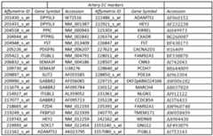 Figure imgf000019_0001