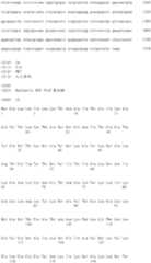 Figure IDA0000137672500000151