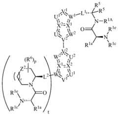 Figure imgf000106_0002