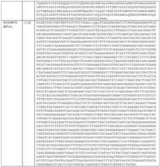 Figure imgf000145_0001