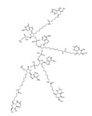 Figure imgf000270_0001