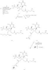 Figure US09738895-20170822-C00102