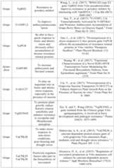 Figure PCTCN2022090268-appb-000030