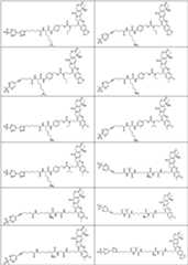 Figure PCTCN2022073822-appb-000370