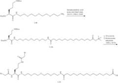 Figure US12329823-20250617-C00191