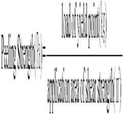 Figure imgf000013_0001