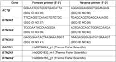 Figure imgf000054_0001