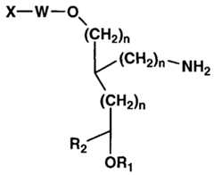 Figure imgf000048_0002