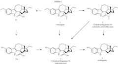 Figure US08859764-20141014-C00008