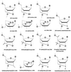 Figure imgf000020_0001