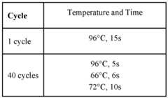 Figure imgf000089_0001