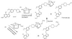 Figure imgf000229_0001