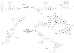 Figure imgf000213_0001