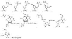 Figure imgf000048_0001