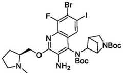 Figure BDA0003993773060002501