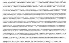 Figure 112146378-A0202-12-0079-72