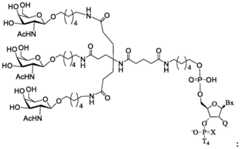 Figure BDA0003357312860003031