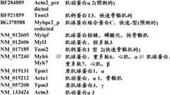 Figure BDA0000057170160002221