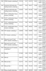 Figure imgf000327_0001