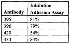Figure imgf000024_0001