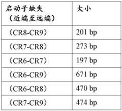 Figure BDA0002728416870000391