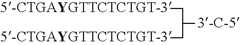 Figure US07851453-20101214-C00012