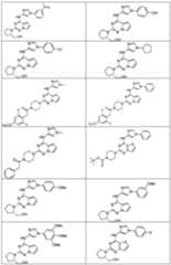 Figure imgf000689_0001