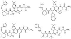 Figure imgf000304_0001