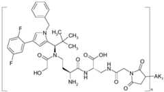 Figure imgf000947_0001