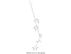 Figure 0007704732000007