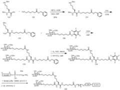 Figure imgf000354_0001