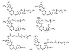 Figure 112016119396583-pat00123